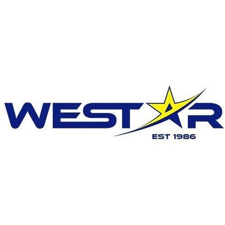 WESTAR Auto Trans Mount #Westar Em-4319 EM-4319